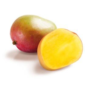 BRAZIL MANGOES BIG 1 PCS