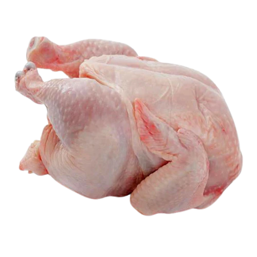 PRE-ORDER FRESH FULL CHICKEN CLEANED 1KG