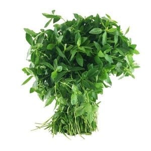 PONNANGANNI LEAVES 1 PACK