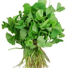 VALLARAI (CENTELLA ASIATICA)