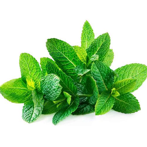 MINT LEAVES (PUTHINA KEERAI)