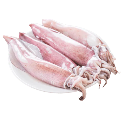 PRE-ORDER SQUID CLEANED 750G TO 850G