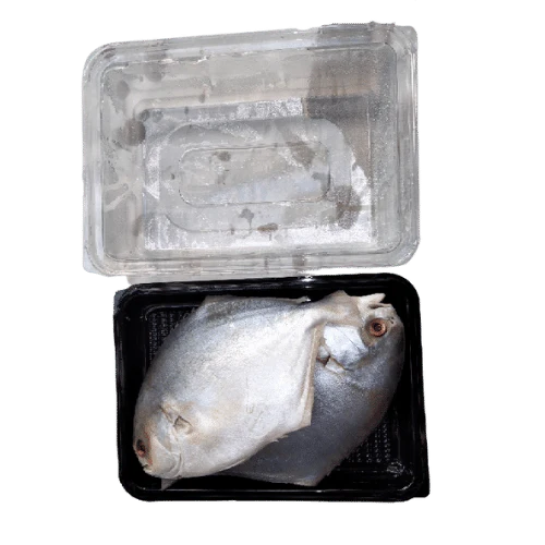 PRE-ORDER GOLD POMFRET CLAENED 750G TO 850G